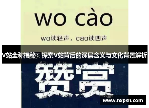 V站全称揭秘：探索V站背后的深层含义与文化背景解析